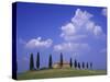Italy, Tuscany, Siena, Pienza, Grange Province-Udo Siebig-Stretched Canvas
