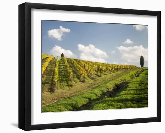 Italy, Tuscany. Steep Hills of Vineyards in the Chianti Region-Julie Eggers-Framed Premium Photographic Print