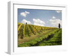 Italy, Tuscany. Steep Hills of Vineyards in the Chianti Region-Julie Eggers-Framed Premium Photographic Print