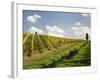 Italy, Tuscany. Steep Hills of Vineyards in the Chianti Region-Julie Eggers-Framed Photographic Print