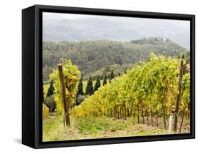 Italy, Tuscany. Steep Hills of Vineyards in the Chianti Region-Julie Eggers-Framed Stretched Canvas