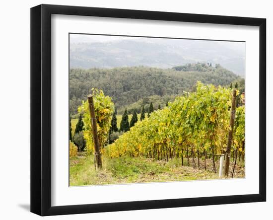 Italy, Tuscany. Steep Hills of Vineyards in the Chianti Region-Julie Eggers-Framed Premium Photographic Print