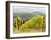 Italy, Tuscany. Steep Hills of Vineyards in the Chianti Region-Julie Eggers-Framed Photographic Print