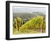 Italy, Tuscany. Steep Hills of Vineyards in the Chianti Region-Julie Eggers-Framed Photographic Print