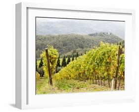 Italy, Tuscany. Steep Hills of Vineyards in the Chianti Region-Julie Eggers-Framed Photographic Print