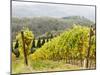 Italy, Tuscany. Steep Hills of Vineyards in the Chianti Region-Julie Eggers-Mounted Photographic Print