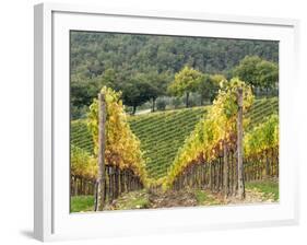 Italy, Tuscany. Steep Hills of Vineyards in the Chianti Region-Julie Eggers-Framed Photographic Print