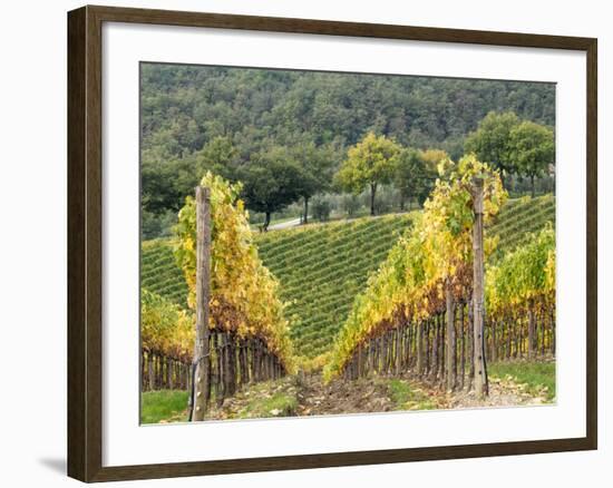 Italy, Tuscany. Steep Hills of Vineyards in the Chianti Region-Julie Eggers-Framed Photographic Print