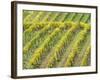 Italy, Tuscany. Steep Hills of Vineyards in the Chianti Region-Julie Eggers-Framed Photographic Print