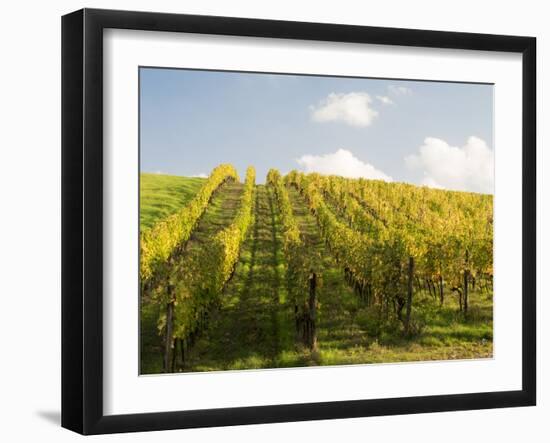 Italy, Tuscany. Steep Hills of Vineyards in the Chianti Region-Julie Eggers-Framed Premium Photographic Print