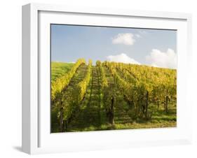 Italy, Tuscany. Steep Hills of Vineyards in the Chianti Region-Julie Eggers-Framed Premium Photographic Print