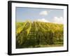 Italy, Tuscany. Steep Hills of Vineyards in the Chianti Region-Julie Eggers-Framed Photographic Print