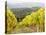 Italy, Tuscany. Steep Hills of Vineyards in the Chianti Region-Julie Eggers-Stretched Canvas