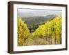 Italy, Tuscany. Steep Hills of Vineyards in the Chianti Region-Julie Eggers-Framed Premium Photographic Print