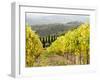 Italy, Tuscany. Steep Hills of Vineyards in the Chianti Region-Julie Eggers-Framed Premium Photographic Print