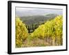 Italy, Tuscany. Steep Hills of Vineyards in the Chianti Region-Julie Eggers-Framed Photographic Print