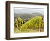 Italy, Tuscany. Steep Hills of Vineyards in the Chianti Region-Julie Eggers-Framed Photographic Print