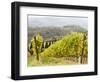 Italy, Tuscany. Steep Hills of Vineyards in the Chianti Region-Julie Eggers-Framed Photographic Print