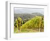 Italy, Tuscany. Steep Hills of Vineyards in the Chianti Region-Julie Eggers-Framed Photographic Print