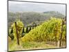 Italy, Tuscany. Steep Hills of Vineyards in the Chianti Region-Julie Eggers-Mounted Photographic Print