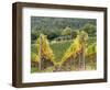 Italy, Tuscany. Steep Hills of Vineyards in the Chianti Region-Julie Eggers-Framed Photographic Print