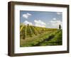 Italy, Tuscany. Steep Hills of Vineyards in the Chianti Region-Julie Eggers-Framed Photographic Print