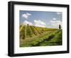 Italy, Tuscany. Steep Hills of Vineyards in the Chianti Region-Julie Eggers-Framed Photographic Print