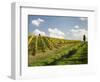 Italy, Tuscany. Steep Hills of Vineyards in the Chianti Region-Julie Eggers-Framed Photographic Print