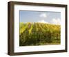 Italy, Tuscany. Steep Hills of Vineyards in the Chianti Region-Julie Eggers-Framed Photographic Print