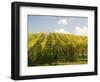 Italy, Tuscany. Steep Hills of Vineyards in the Chianti Region-Julie Eggers-Framed Photographic Print