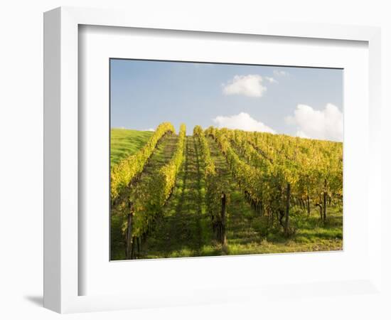 Italy, Tuscany. Steep Hills of Vineyards in the Chianti Region-Julie Eggers-Framed Photographic Print