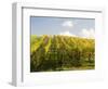 Italy, Tuscany. Steep Hills of Vineyards in the Chianti Region-Julie Eggers-Framed Photographic Print