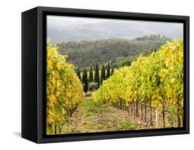 Italy, Tuscany. Steep Hills of Vineyards in the Chianti Region-Julie Eggers-Framed Stretched Canvas