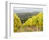 Italy, Tuscany. Steep Hills of Vineyards in the Chianti Region-Julie Eggers-Framed Photographic Print