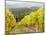 Italy, Tuscany. Steep Hills of Vineyards in the Chianti Region-Julie Eggers-Mounted Photographic Print