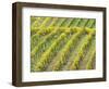 Italy, Tuscany. Steep Hills of Vineyards in the Chianti Region-Julie Eggers-Framed Photographic Print