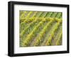 Italy, Tuscany. Steep Hills of Vineyards in the Chianti Region-Julie Eggers-Framed Photographic Print