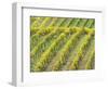 Italy, Tuscany. Steep Hills of Vineyards in the Chianti Region-Julie Eggers-Framed Photographic Print