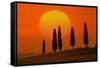 Italy, Tuscany, Sundown with Pienza (M)-Ludwig Mallaun-Framed Stretched Canvas