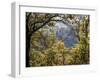 Italy, Tuscany. Tower House Cassero Di Grignano in Chianti-Julie Eggers-Framed Premium Photographic Print