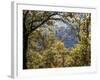 Italy, Tuscany. Tower House Cassero Di Grignano in Chianti-Julie Eggers-Framed Photographic Print