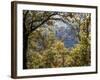 Italy, Tuscany. Tower House Cassero Di Grignano in Chianti-Julie Eggers-Framed Photographic Print