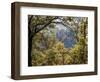 Italy, Tuscany. Tower House Cassero Di Grignano in Chianti-Julie Eggers-Framed Photographic Print