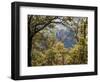 Italy, Tuscany. Tower House Cassero Di Grignano in Chianti-Julie Eggers-Framed Photographic Print