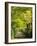 Italy, Tuscany. Tree Lined Road in the Chianti Region of Tuscany-Julie Eggers-Framed Photographic Print