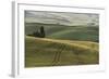 Italy, Tuscany, Val D'Orcia, Pienza. Tuscan Field with Sheep-Walter Bibikow-Framed Photographic Print