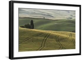 Italy, Tuscany, Val D'Orcia, Pienza. Tuscan Field with Sheep-Walter Bibikow-Framed Photographic Print