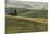 Italy, Tuscany, Val D'Orcia, Pienza. Tuscan Field with Sheep-Walter Bibikow-Mounted Photographic Print