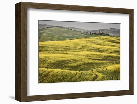 Italy, Tuscany, Val d'Orcia-John Ford-Framed Photographic Print