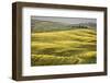 Italy, Tuscany, Val d'Orcia-John Ford-Framed Photographic Print